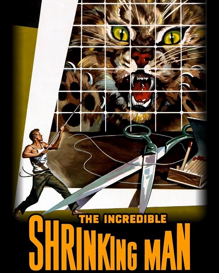 مشاهدة حصريًا مشاهدة وتحميل فيلم The Incredible Shrinking Man 1957 مترجم